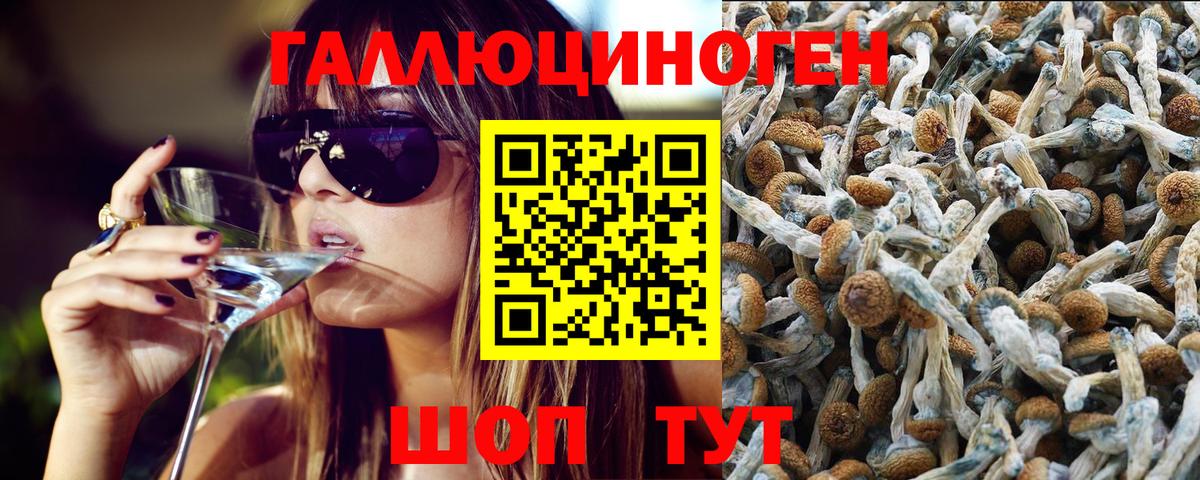 Нововоронеж  Галлюциногенные грибы Psilocybe  Вход с VPN 