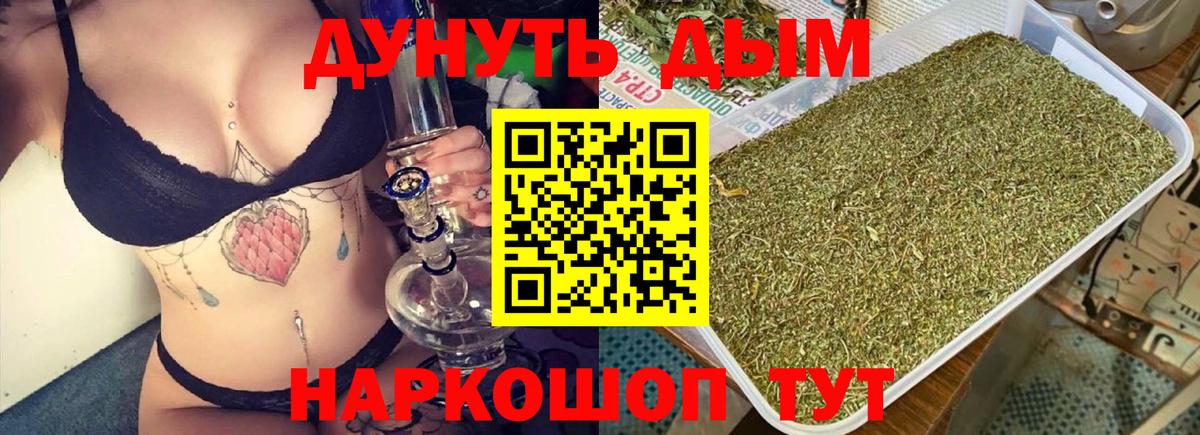 Канабис конопля  Каннабис ГИДРОПОН  Нововоронеж  Вход с VPN  Конопля индика  МАРИХУАНА семена 